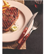 Set De Cubiertos TRAMONTINA POLYWOOD CHURRASCO Para Asado Acero Inox 12 Piezas 
