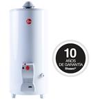Termotanque RHEEM TPG080GNRH FUNCTIONAL 80 Lts Multigas De Pie Superior 