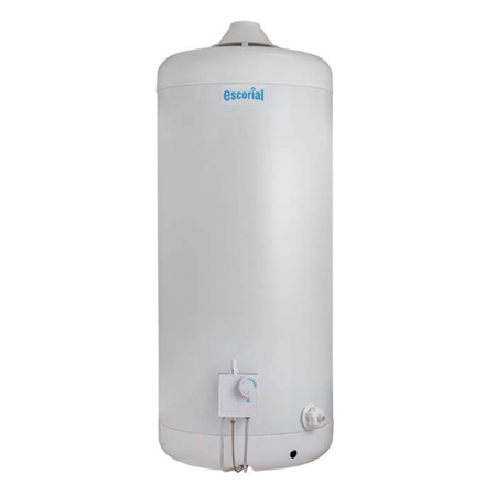 Termotanque ESCORIAL 80 Lts Multigas Conexión Superior Colgar o Apoyar